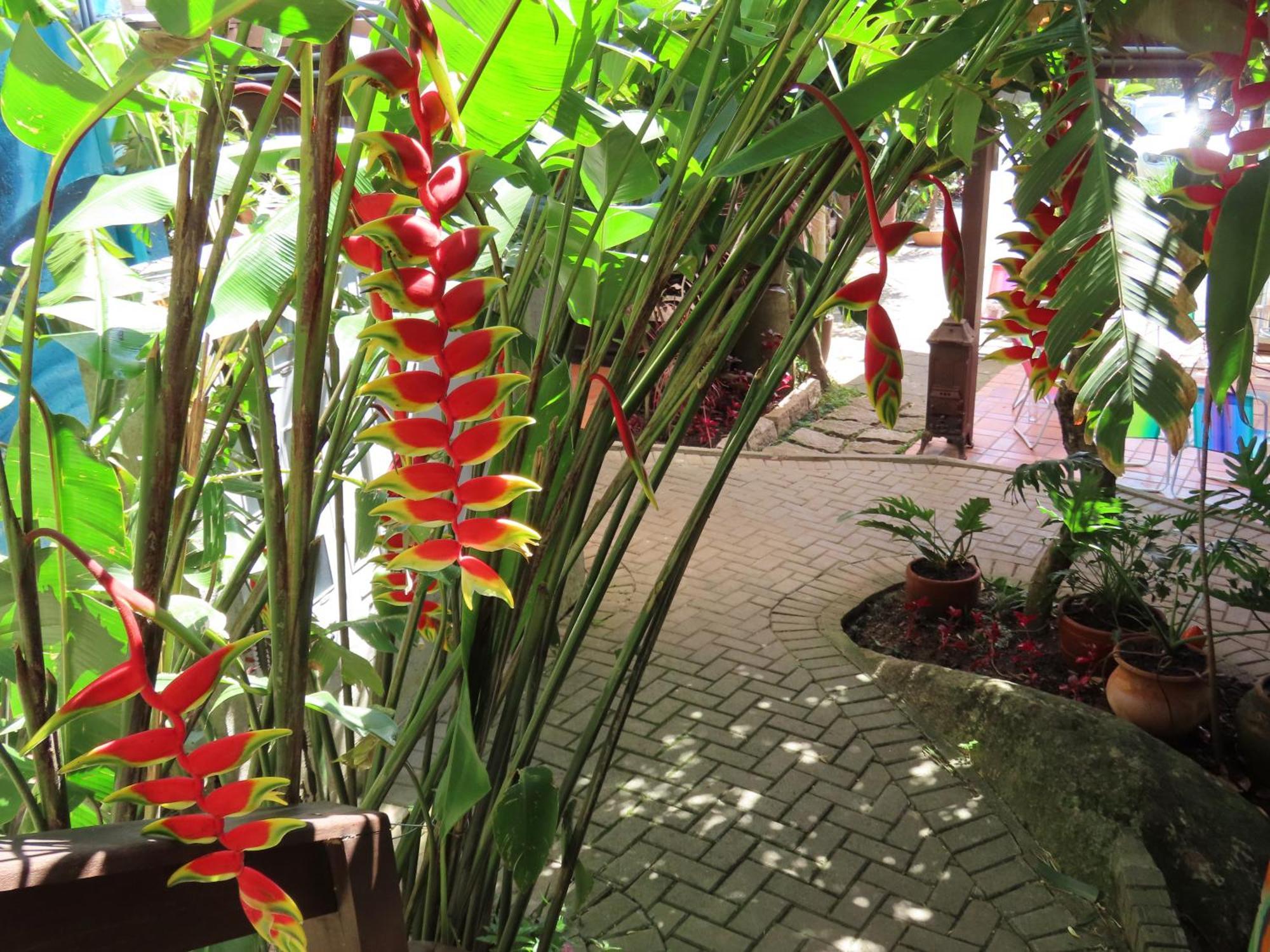 Patio Floriparadise Florianópolis Екстериор снимка